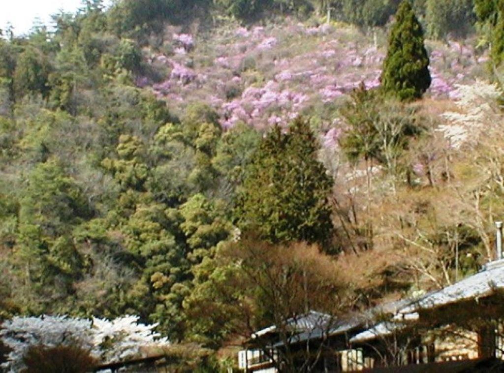 Takao Kanko Hotel Kioto Zewnętrze zdjęcie