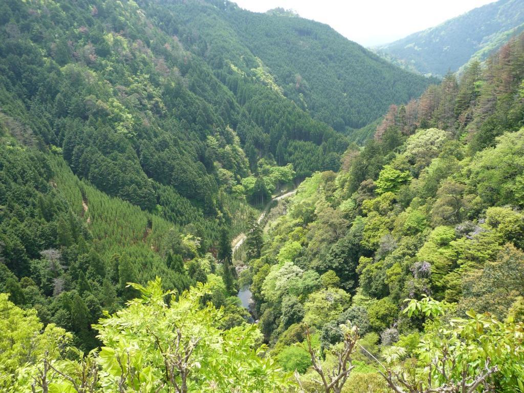 Takao Kanko Hotel Kioto Zewnętrze zdjęcie